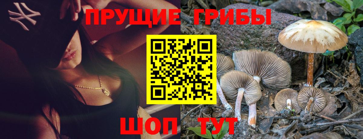Псилоцибиновые грибы Cubensis  Вход с VPN  Галлюциногенные грибы прущие грибы  магазин продажи наркотиков  Учалы 