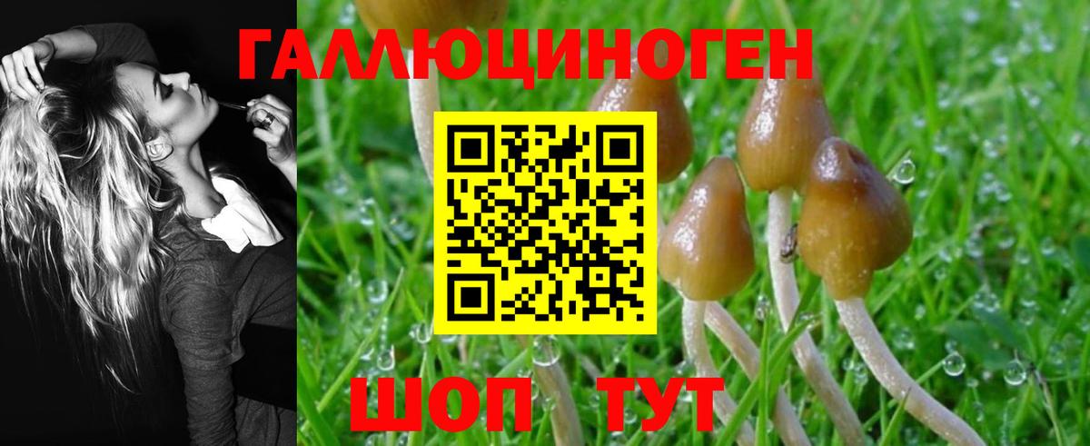 Галлюциногенные грибы мухоморы Учалы